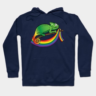 Chameleon Party Hoodie